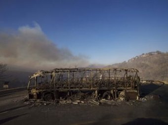 Пожары в Израиле: около 40 погибших. Россия послала авиацию