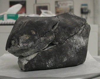 Ученые нашли новый минерал в старом антарктическом метеорите