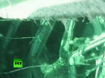 Обнародовано первое подводное видео разрушенного реактора «Фукусимы»