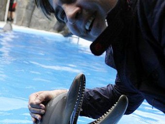 Саакашвили попытался засунуть голову в пасть дельфину