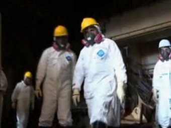 СМИ сообщают о первых мутантах в зоне АЭС "Фукусима"