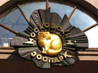 Московский зоопарк закрыли из-за подозрения на африканскую чуму свиней