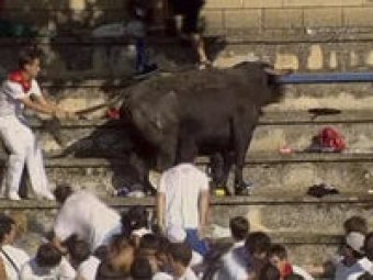 В Португалии бык перед корридой набросился на прохожих
