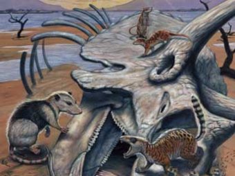 Археологи нашли в Америке последнего в истории Земли динозавра