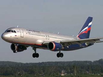 Лайнер А-320 совершил аварийную посадку в Новосибирске из-за коршуна в моторе