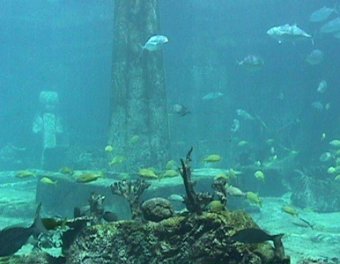 Британские ученые обнаружили под дном океана  легендарную Антлантиду