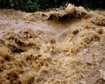 Супертайфун "Муйфа" переквалифицировали в тропический шторм