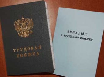 Трудовые книжки в России могут отменить к 2012 году
