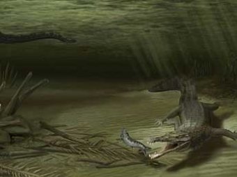 В Колумбии обнаружен первый пресноводный доисторический крокодил