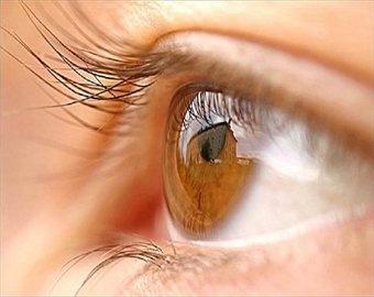 Ученые научились "выращивать" глаза