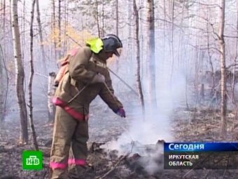 Эксперты: пожары в Братске организовали специально