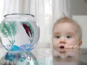 В Москве годовалая девочка утонула в домашнем аквариуме