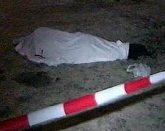 В Самарской области на дачном участке убиты женщина и двое мужчин