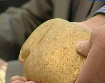 В Хабаровском крае нашли 8-килограммовый золотой самородок