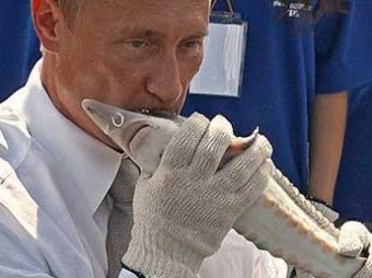 Кремль потратит на питание чиновников 215 миллионов: в меню мильфей, террин и галантин из фазана