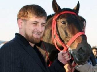 После консультаций с Госдепом США лошадь Кадырова сняли со скачек