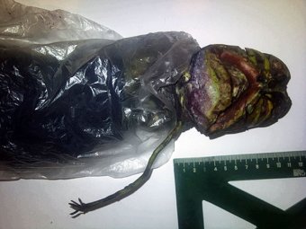 Жительница Петрозаводска два года прятала инопланетянина в холодильнике