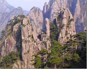 В китайских горах "Аватара" открыли стеклянную тропу над пропастью