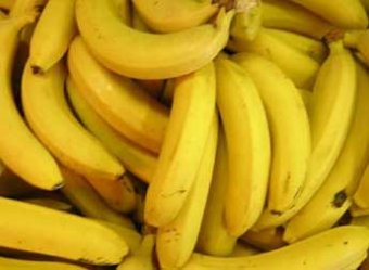 Ученые: бананы защитят от венерических болезней