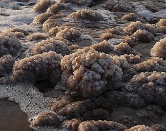 Ученые: Мертвое море однажды умерло