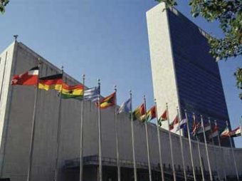 В Нью-Йорке в штаб-квартире ООН изъяли 16 кг кокаина