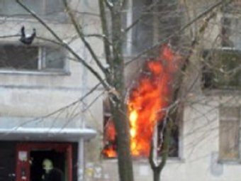 В Сестрорецке после взрыва газа загорелись 7 домов: двое погибших