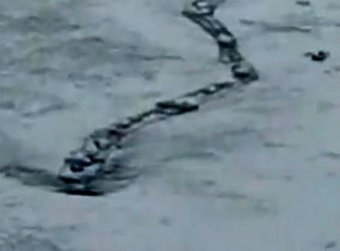 Исландское ТВ показало в эфире "90-метрового гигантского червя"