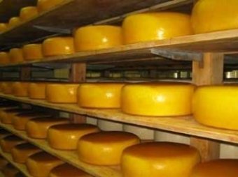 Россия запретила ввоз украинского сыра