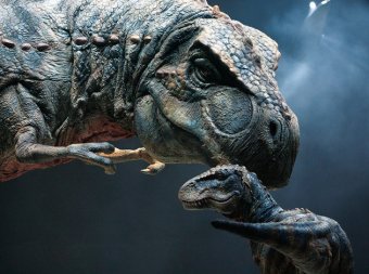 Ученые выяснили причину гибели динозавров