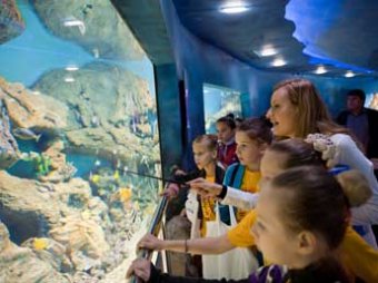 Детей-аутистов не пустили в московский океанариум, чтобы не смущать посетителей