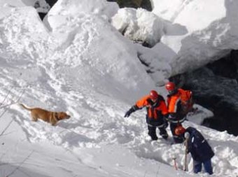 В Мурманской области при сходе лавины погибли туристы из Питера