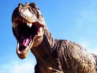 В Китае найдены останки пернатого тираннозавра