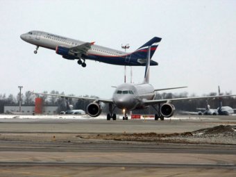 В небе над московским аэропортом сразу два Airbus столкнулись с птицами