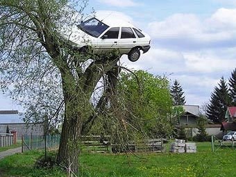 В Польше мужчина нашел свою машину на дереве
