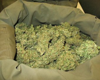 У берегов Калифорнии выловили 4 тонны марихуаны