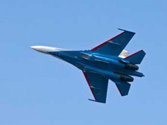 Истребитель Су-27 в небе над Карелией «сбила» птица