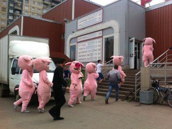 Руководство МВД проверяет питерскую полицию после побоища с «русскими свиньями»
