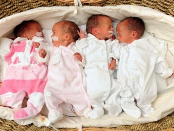 В Новосибирске женщина родила сразу четырех близнецов