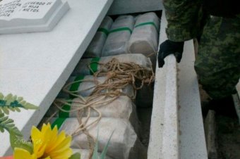 На кладбище в Мексике нашли более двух тонн марихуаны