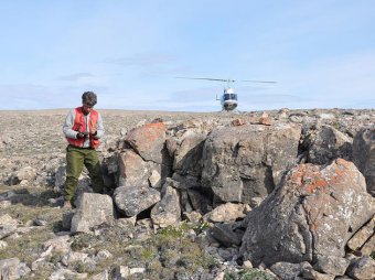 В Арктике обнаружен кратер от метеорита, убившего динозавров
