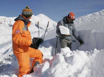 В Альпах сошла лавина: погибли 9 альпинистов