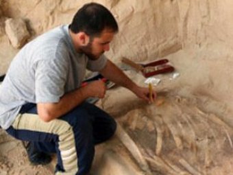 В Египте нашли склад отрубленных рук