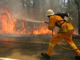 Прокуратура: пожарные сами поджигали леса ради премий