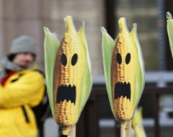 Результаты тайного исследования с ГМО-продуктами повергли экспертов в шок