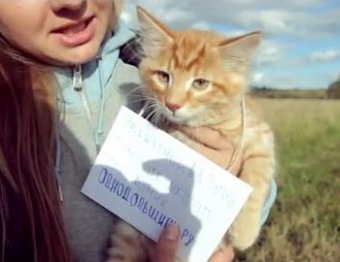 Обманутые дольщики запустили в космос котенка с посланием Путину
