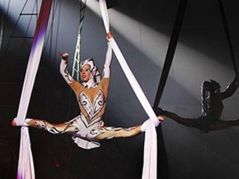 В Москве на арене цирка известная гимнастка сломала шею