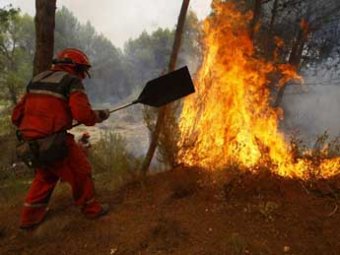 Глава ФСБ России: лесные пожары в Европе устраивала "Аль-Каида"