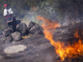В Гватемале два чиновника сожжены заживо