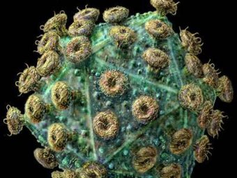 Учёные: ВИЧ появился 12 миллионов лет назад