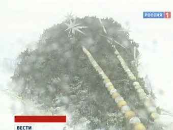 В Омске мужчину придавила пятиметровая новогодняя ёлка